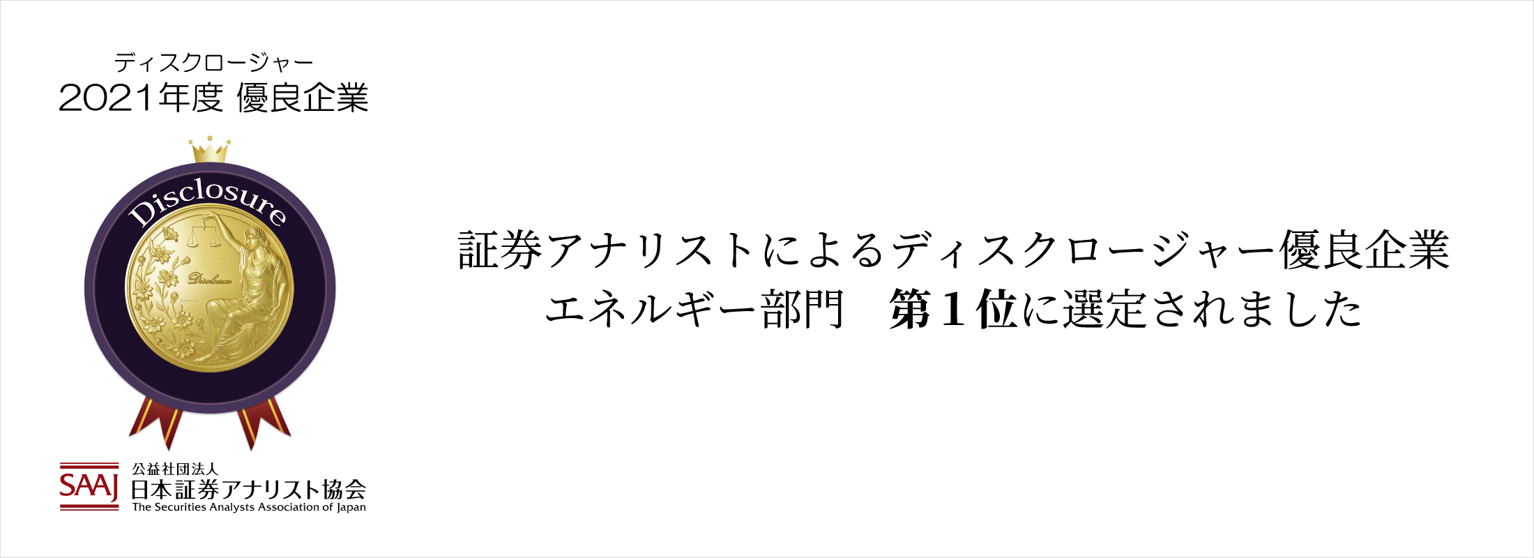 ディスクロージャー2021年度優良企業