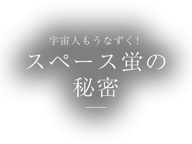 宇宙人もうなずく！ スペース蛍の秘密